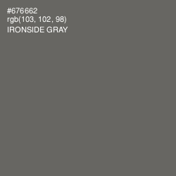 #676662 - Ironside Gray Color Image
